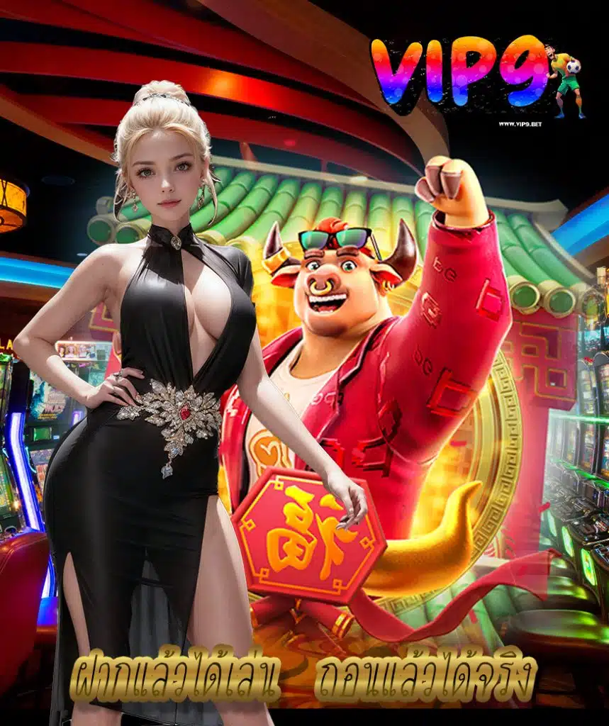 vip9 ทางเข้า
